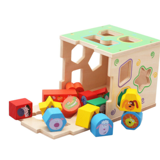 Wooden geometric shape matching toy for kids