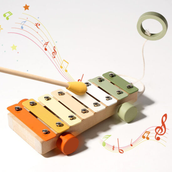 Baby musical instrument set with wooden percussion toys
