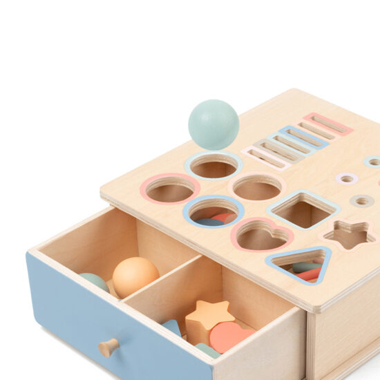 Educational Montessori toy for color and shape sorting