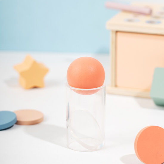 Educational Montessori toy for color and shape sorting