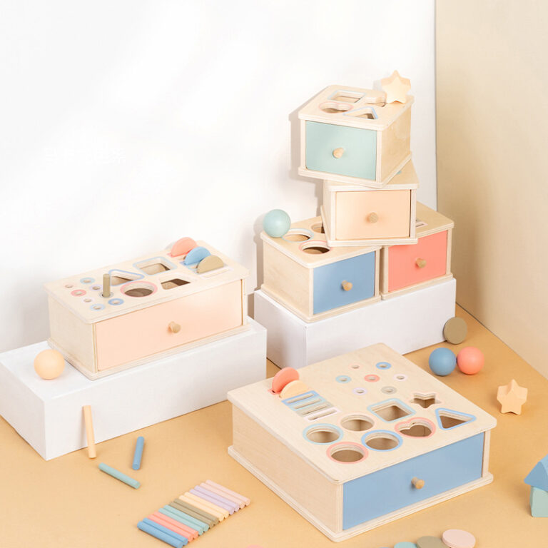 Educational Montessori toy for color and shape sorting