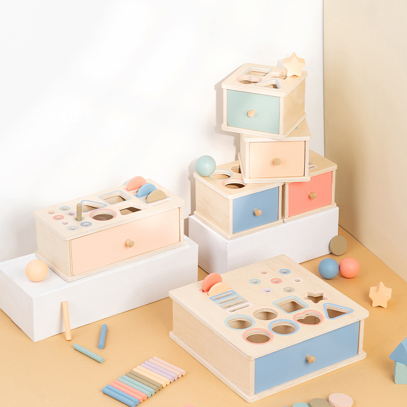 Educational Montessori toy for color and shape sorting