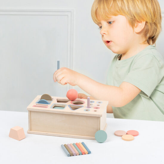 Educational Montessori toy for color and shape sorting
