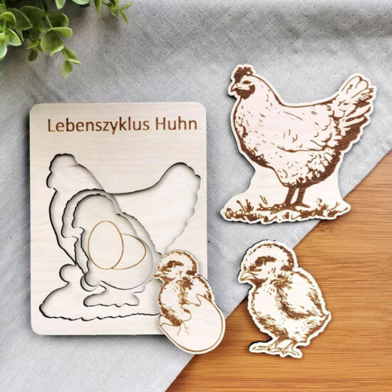 Montessori 3D wooden animal life cycle puzzle