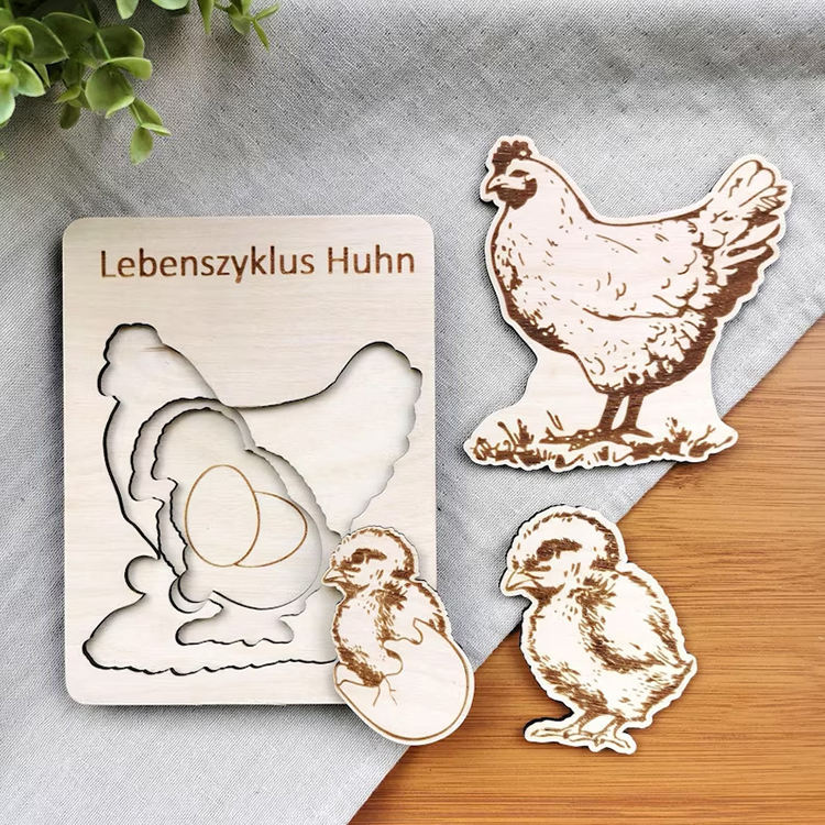 Montessori 3D wooden animal life cycle puzzle