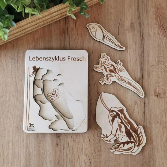 Montessori 3D wooden animal life cycle puzzle