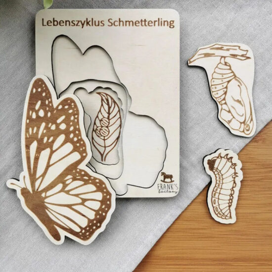 Montessori 3D wooden animal life cycle puzzle