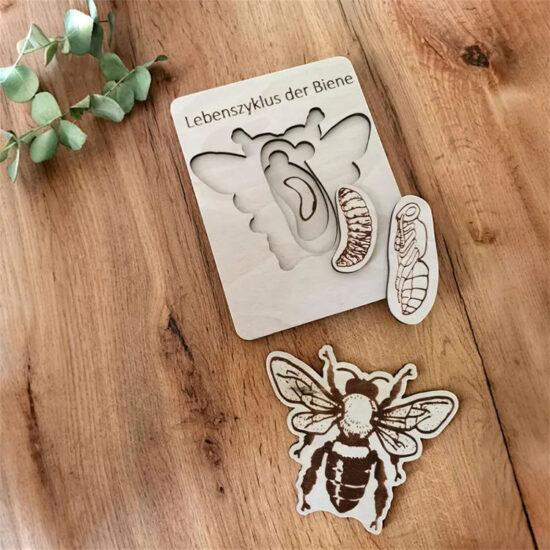 Montessori 3D wooden animal life cycle puzzle