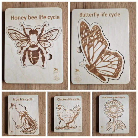 Montessori 3D wooden animal life cycle puzzle