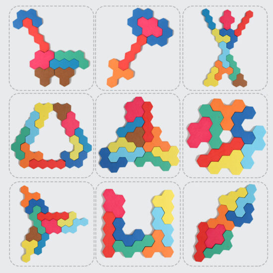  Montessori 2-player wooden matching puzzle game for kids