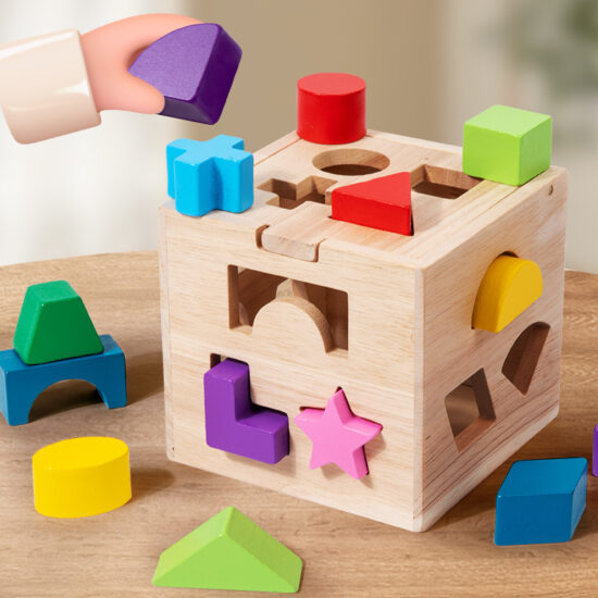 Educational wooden puzzle box with 13 geometric shapes