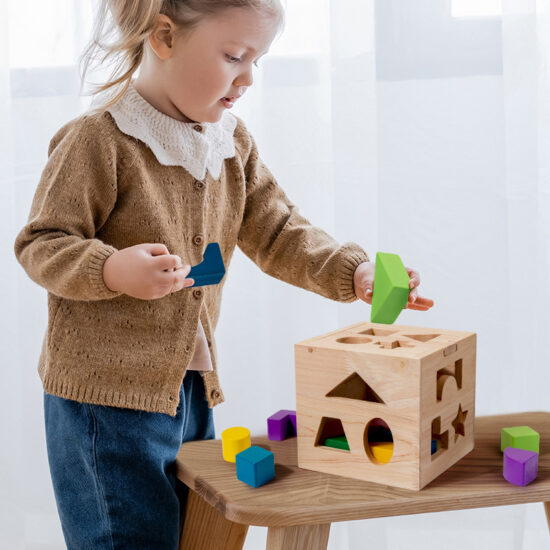 Educational wooden puzzle box with 13 geometric shapes